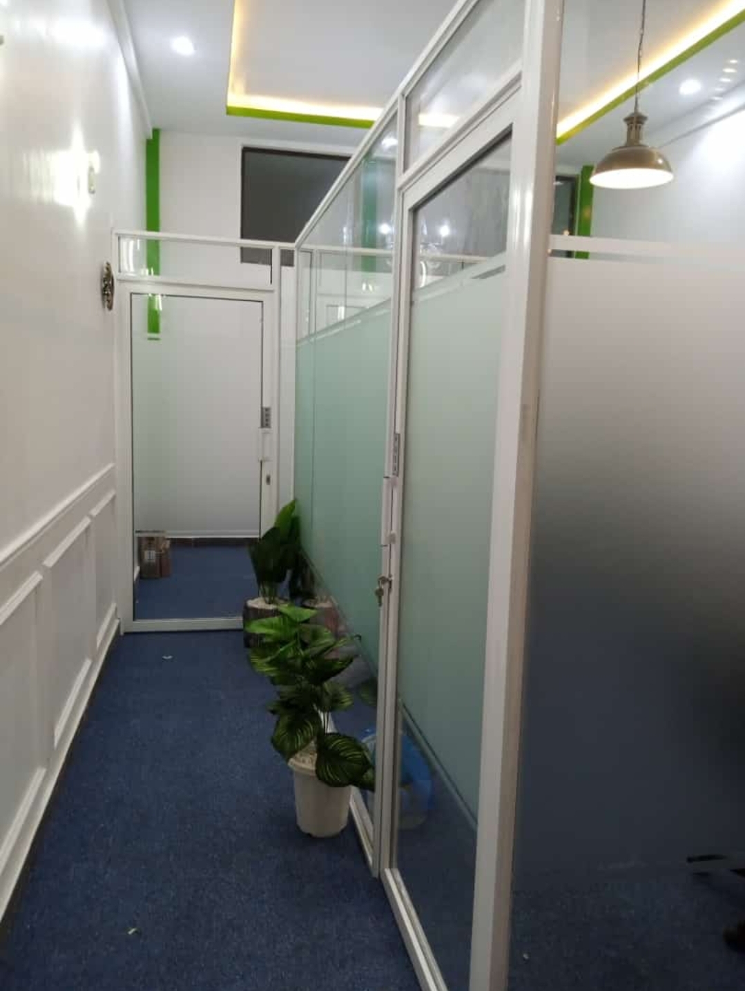 Wilton Executive Blue Plain - Image 4