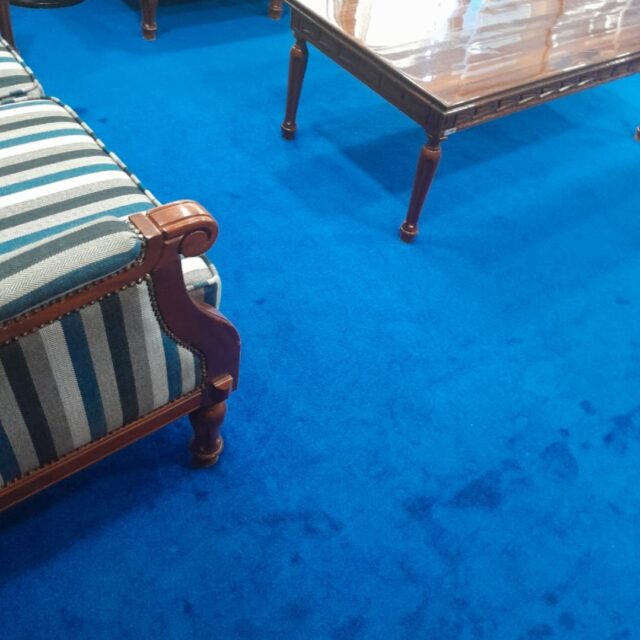 Alternative view of Madagascar Blue