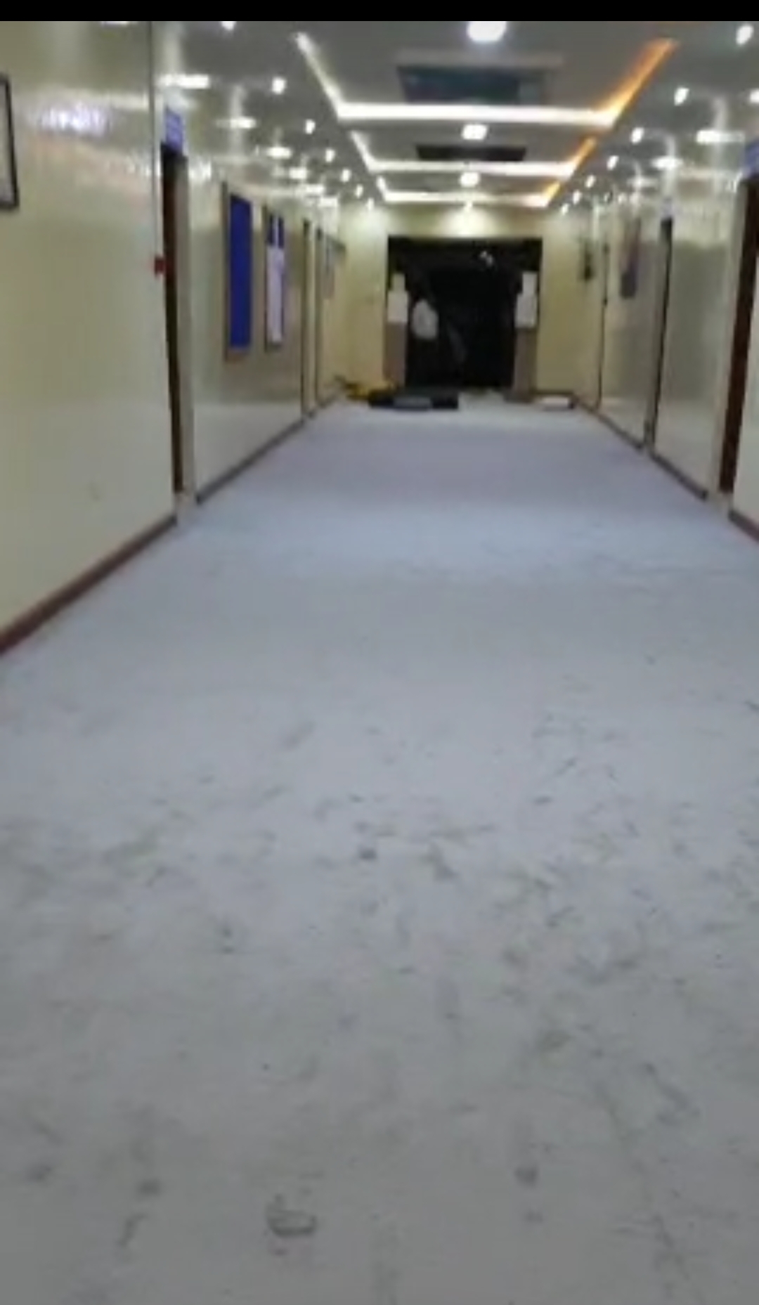 Madagascar Grey - Image 4